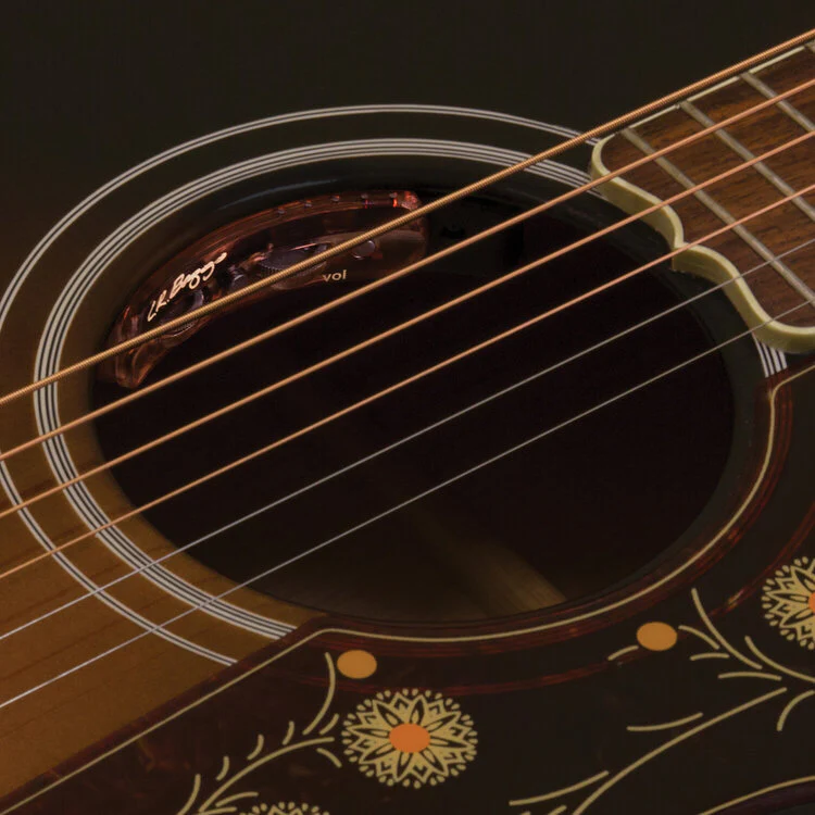 L.R. Baggs Session VTC disponível na Zanon Guitars